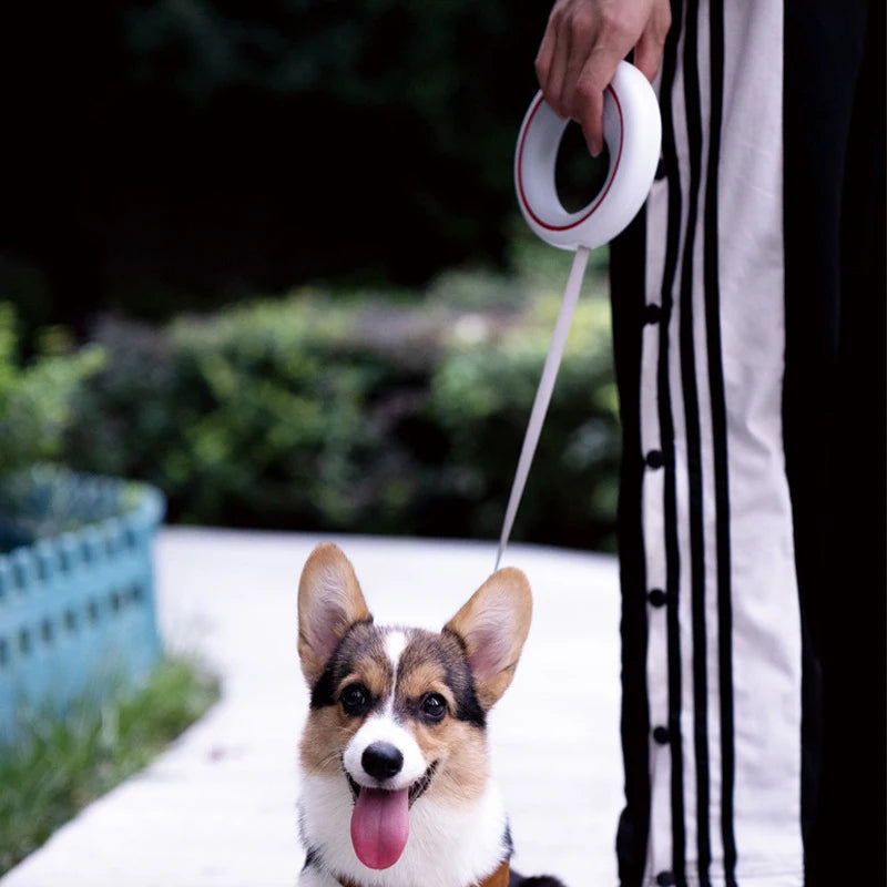 MOESTAR Retractable Dog Leash Lite Version Durable Training Walking Safety Dog Rope 3M Retraction Length for Max Pet Weight 30Kg