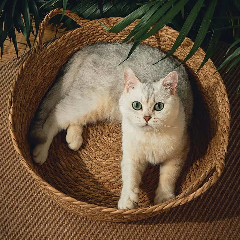 OUZEY Rattan Weaving Basket for Cat Comfortable Sleeping Pet Dog Bed Summer Cool Weave Cat House Donut round Kitten Puppy Bed