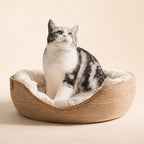 Cloudbed - Eco-Friendly Woven Dog Bed Sofa – Breathable Bamboo Style Pet House for Indoor Dogs & Small Pets