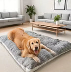 The Cloudbed XL – Extra Large Dog Bed