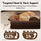 Large Dog Bed - Orthopedic Egg-Crate Memory Foam Dog Beds with Removable Washable Cover, Waterproof Pet Beds with Non-Slip Bottom, (Brown)