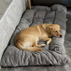 The Cloudbed XL – Extra Large Dog Bed