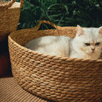 OUZEY Rattan Weaving Basket for Cat Comfortable Sleeping Pet Dog Bed Summer Cool Weave Cat House Donut round Kitten Puppy Bed