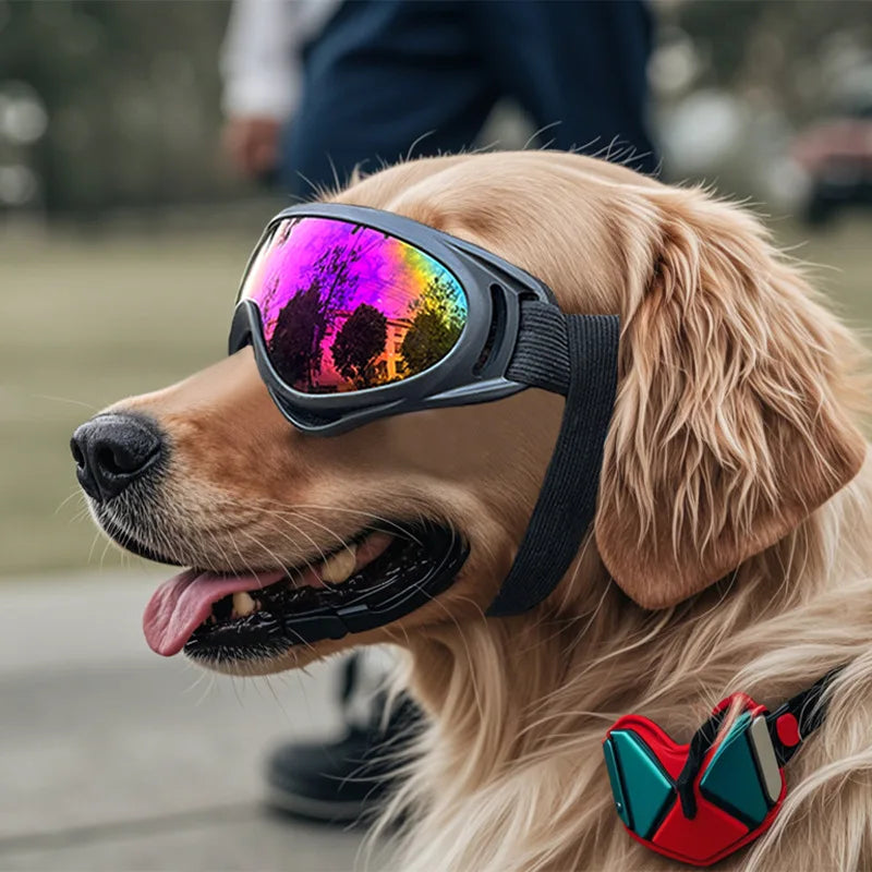 Pet Adjustable Dog Goggles Sunglasses Anti-Uv Sun Glasses Eye Wear Protection Black Widely Used Dog Sunglasses Pet Dog Supplies