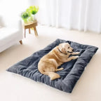 The Cloudbed XL – Extra Large Dog Bed